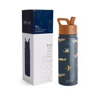 Simple Modern Kids Water Bottle with Straw Lid, Insulated Stainless Steel Reusable Tumbler for Toddlers, Girls, Boys, Summit Collection, 18oz, Wheels Up