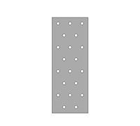 Simpson Plaque perforée NP20/60/160 acier galvanisé 60x160x2 mm Ø5 mm