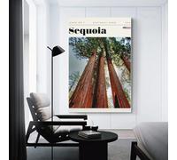 sinyumoney Sequoia National Park Travel Art Tableau Sur Toile, Œuvre D'art Murale Moderne Pour La Décoration Du Salon, Du Bureau Et De La Chambre 20x30inch(50x75cm)