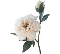 SiSinkal Fleur de pivoine rustique en soie avec bords brûlés, tige artificielle d'automne pour décoration de maison, hôtel, mariage, 50 cm (Qiu Bai)