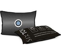 SIXTOL DRY CAR ONE Coussin déshumidificateur pour voiture 350 g | Gris