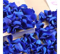 Skalago Véritables pétales de rose séchés, préservés naturellement, pour décoration de mariage, douche nuptiale, fiançailles, soirées romantiques et décoration de table - Confettis bleus