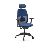 Skandis Pro | avec appui-tête | Structure : Noir - Siège de bureau de qualité professionnelle Bleu / Noir