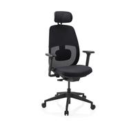 Skandis Pro | avec appui-tête | Structure : Noir - Siège de bureau de qualité professionnelle Noir / Noir