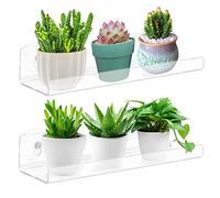 Skewo Lot de 2 étagères de fenêtre de 30,5 cm - Extension de seuil à Ventouse en Acrylique pour Plantes Grasses, Pots d'herbes, Micro-Verts, Organisateur de Salle de Bain, présentoir et Rangement de