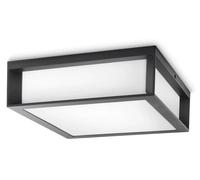 Skies Anthracite Applique Plafond-Mur d'Extérieur 2X E27/42W IP44 Aluminium/plastique
