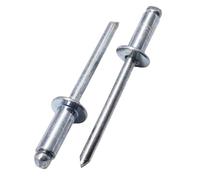 SKIR'CO Lot de 40 rivets aveugles en acier zingué 5,0 x 12 mm, mandrin en acier, rivets pop tête bombée DIN 7337