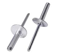 SKIR'CO Lot de 40 rivets aveugles en aluminium à grande bride 4,8 x 20 mm, mandrin en acier, rivets aveugles en aluminium