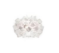 SLAMP Clizia Mama Non Mama Applique Murale Blanche