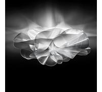 Slamp La Belle Étoile Plafonnier LED, ETOCS00PRS00000LEDEU,