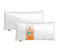 sleepling Lot de 2 Oreillers 60x80 cm, Anti-allergie & Lavable 60 degrés, fabriqué en UE, Oreiller de Sommeil 60 x 80 cm, Coussin Respirant et Doux