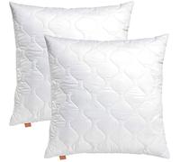 sleepling Lot de 2 Oreillers 65x65 cm, Anti-allergie & Lavable 60 degrés, fabriqué en UE, Oreiller de Sommeil 65 x 65 cm, Coussin Respirant et Doux