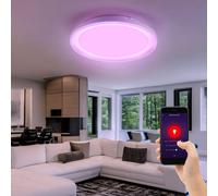 Plafonnier LED RGB pour maison intelligente, lumière du jour à intensité réglable, application Alexa, lumière de salle de bain