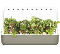 Smart Garden 9, Beige - Potager d'intérieur intelligent avec éclairage LED