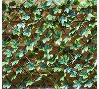 Smart Garden Products Treillis en saule Feuille d'érable 180 x 90 cm