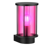 Smart Home Applique murale d'extérieur en acier inoxydable noir Lampe de porte d'entrée CCT dimmable, verre fumé, 1x RGB LED 5W 470Lm blanc chaud froid, lxh 14,3x25,2 cm