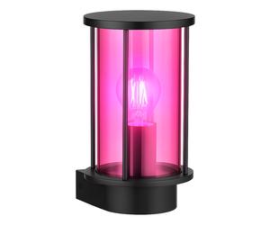 Smart Home Applique murale d'extérieur en acier inoxydable noir Lampe de porte d'entrée CCT dimmable, verre fumé, 1x RGB LED 5W 470Lm blanc chaud froid, lxh 14,3x25,2 cm