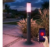 Smart RGB LED Support Lampe Alexa Jardin Extérieur Google de Détecteur Mouvement