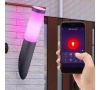 Lampe torche murale, commande vocale pour téléphone portable, éclairage extérieur à intensité variable dans un ensemble comprenant des ampoules LED RVB