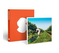 Smartbox - Coffret cadeau Activité autour du vin pour 1 ou 2 personnes - Idée cadeau œnologie