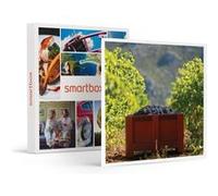 Atelier Initiation Et Dégustation Vin Biologique Dans Un Domaine Viticole - Smartbox - Coffret Cadeau Gastronomie