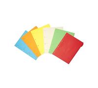 Chemises à onglet standard Smartfolder® - sachet de 6