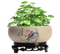 SMELEYOU Planteur De Bol De Lotus pour Graines Fleurs Lotus Style Chinois Pots Plante Hydroponique à L'IntéRieur avec Base en Plastique