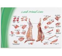 SMGLRUEAT Farm To Table Lamb Cuts Poster Culinary School Style | Learn meat anatomy with this clear and accurate butcher diagram print(Unframed,08x12inch(20x30cm))
