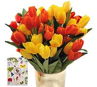 SNAIL GARDEN Ensemble de 36 Tulipes artificielles avec 2 Couleurs,Tulipes en Soie avec 1 Carte de voeux pour Mariage,Maison,fête,Festival,Arrangements Floraux,Cadeau de déménagement (Rouge/Jaune)