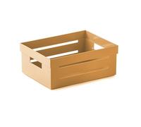 Snips Boîte de Rangement, Organiseur Polyvalent, Contenant Polyvalent, 2 L, Couleur Moutarde, 20 x 15 x 8,5 cm, Made in Italy, Mustard
