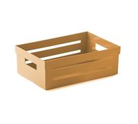 Snips Boîte de Rangement, Organiseur Polyvalent, Contenant Polyvalent, 5 L, Couleur Moutarde, 29,5 x 19,5 x 10 cm, Made in Italy, Mustard