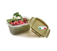 Snips Veggie SnipsLock 1,2 LT Boîte alimentaire Rectangulaire avec Grille Amovible, 4 Fermetures de Sécurité, Joint de Fraîcheur, Couleur Verte, 18,4 x 14 x 9 cm, Made in Italy