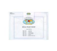 Snopake 12560 Lot De 5 Chemises En Polypropylène Polyfile A4 Avec Porte Carte 5 Claire