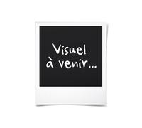 Snopake Classeur à pince A4 pour 100 feuilles couleurs assorties, electra (bleu) (pack de 10)