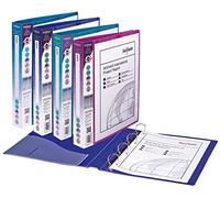 Snopake Classeur de présentation 4 anneaux en D Capacité 25 mm Couleurs assorties A4 Lot de 10 (Import Royaume Uni)