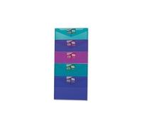 Snopake Sachet De 5 Chemises Polyfile Classic Format A4 Assortis Opaque Fun