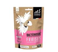 SOBAC Bactériosol® Fertilisant Fraises, petits fruits et arbres fruitiers - sachet 500g