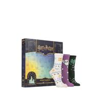 SOCKSHOP Femme 12 Paires Chaussettes Calendrier Harry Potter Multi 37-42 | Riche en coton, doux et respirant, 12 motifs Hogwarts colorés, maille fine, hauteur mi-mollet, coffret cadeau à fenêtres