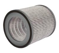 Soehnle Filtre de remplacement pour Airfresh Clean Connect 500, pour une qualité d'air optimale, filtre à charbon actif interchangeable, filtre de remplacement pour de haute performance de nettoyage