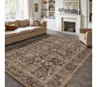 Softlyle Tapis Extra Grand 200x290cm Tapis Salon Lavable Antidérapant Moelleux et pour Chambre à Coucher Traditional Beige