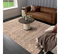 Softlyle Tapis Extra Grand 200x290cm Tapis Salon Lavable Antidérapant Moelleux et pour Chambre à Coucher Traditional Beige