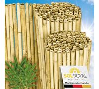 Sol Royal Premium canisse brise vue bambou clair brillant balcon jardin | 90x250cm palissade cache pare terrasse extérieur hauteur 90cm résistant intempéries clôture occultation B99
