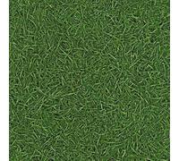 Sol Vinyle Nature - Imitation Gazon - 2m x 4m