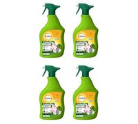 SOLABIOL 4 Anti-Cochenilles - 4 Pulvérisateurs - Prêt à l'Emploi - 4x750ml