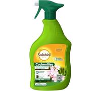 SOLABIOL Anti Cochenilles - Pulvérisateur - Prêt A L'emploi - 750ml - Élimine Oeufs Larves & Adultes - Action Rapide & Agit Par Contact - Utilisable En Agriculture Biologique SOCOCHPAL750N