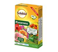 SOLABIOL Anti Pucerons - 100ml - 12,5L De Solution - Effets Visibles En 2/3h - Efficace Sur Massifs & Plantes En Pot - Utilisable En Agriculture Biologique SOLIPUC100