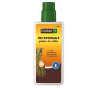 SOLABIOL Cicatrisant plaies de taille - 300 g