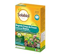 Solabiol Engrais coup de fouet à base de guano – Stimule le démarrage – Bio – 750 g
