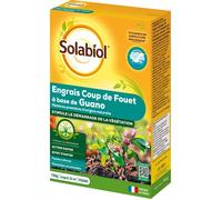SOLABIOL Engrais coup de fouet - 750g - Jusqu'à 25m² - Stimule le démarage de la végétation - Pour toutes les cultures - UAB