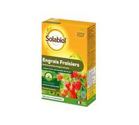 SOLABIOL Engrais fraisiers & petits fruits - 750g - Jusqu'à 15m² - Stimulateur de croissance - Nutrition longue durée